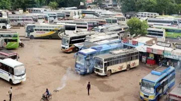 Bus fares reduced in all categories