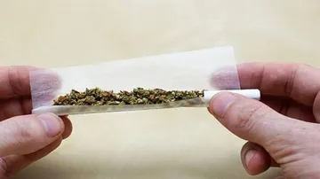 Why cannabis affects women differently