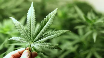 This compound may help reduce epileptic seizures