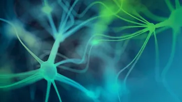 Stem cell treatment may help to stay strong in old age