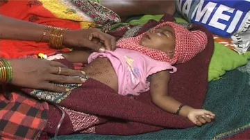 7-month old branded with hot iron