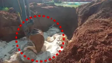 Quintals of relief meant for Cyclone Fani victims dumped in Puri