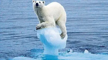 Climate change could cost US hundreds of billions of dollars annually