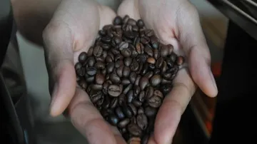 Caffeine may treat, prevent Alzheimer's