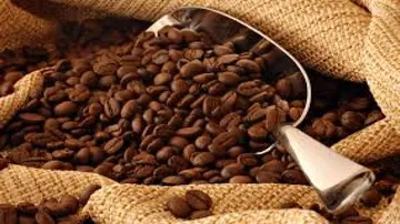 Moderate coffee consumption not linked to dehydration