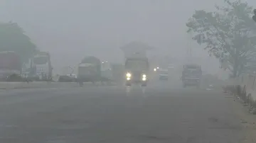 Cold Wave In Odisha: IMD Issues Health Warning For Infants, Elderly & Livestock