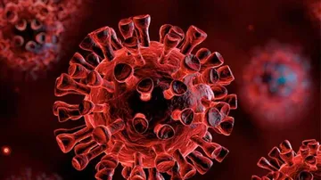 80 More COVID-19 Patients Recuperate in Odisha, Total Recoveries Reach 1325