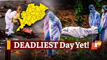 Covid19 Breaking: Daily Deaths At All Time High In Odisha