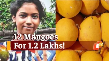 Jharkhand Girl Sells Dozen Mangoes For Rs 1.20 Lakhs, Buys Smartphone For Online Classes