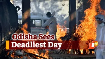 Breaking: Odisha Records 37 Deaths – Most In A Day In Pandemic, Daily Covid-19 Cases Still Over 8K