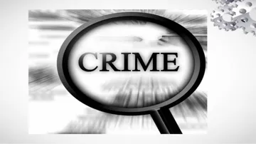 Mutton soup exposes Telangana woman's chilling crime