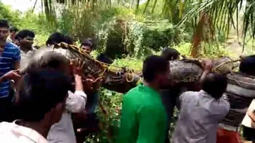 10-ft-long croc, 50 eggs rescued from village in Kendrapara