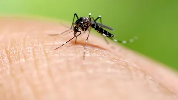 Dengue patient from West Bengal dies at SCB