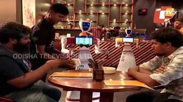 Bhubaneswar Restaurant Ropes In Robot Waiters To Serve Customers