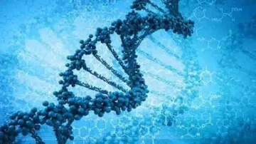 Night shift can damage your DNA: Study