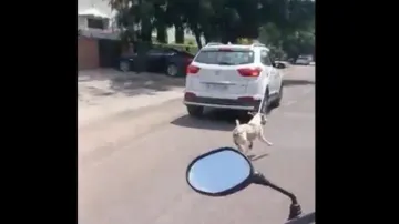 Rajasthan doctor chains dog to car, drags around on busy road