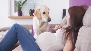 Dogs may prevent childhood eczema, asthma