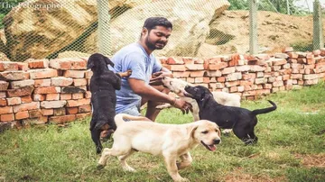Tailwaggers- a one-stop solution for pet dog owners