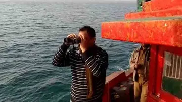 Annual dolphin census begins at several places in Odisha