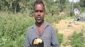 Meet P Babu Rao, the inspirational agri-tech farmer from Odisha