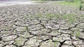 Thunderstorms in 25 Odisha districts till July 24; heavy rainfall on July 30 & 31