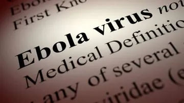 Gene In Monkeys, Mice May Act As Antiviral To Block HIV, Ebola