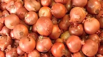 Imported Onions From Egypt Reach Odisha