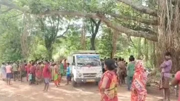 Odisha: Man Killed In Yet Another Jumbo Attack In Nilagiri