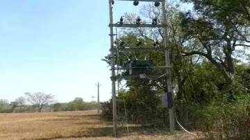 Saubhagya scheme fails amid callousness of electricity department