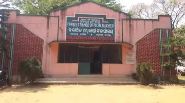 Elephant tramples 5 persons to death in Angul