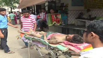 Farmer loses hand in elephant attack