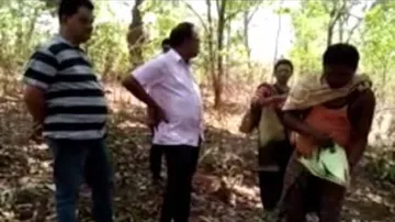 Ailing female jumbo dies in Deogarh