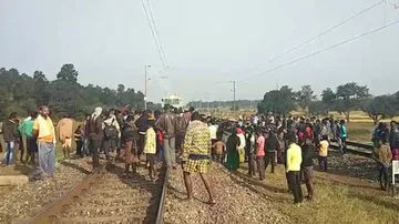 Female elephant killed after being hit by train