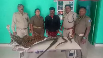 Poacher Who Killed Over 20 Elephants In Odisha Arrested