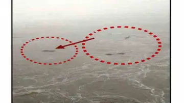 Five Jumbos swept away by flood water in Mahanadi