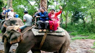 Op-Ed: Kaziranga Diary II: Among the Rhinos on Elephant Back