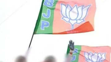 Boycotting 'Constitution Day' Celebrations An Insult To Dr Ambedkar: BJP