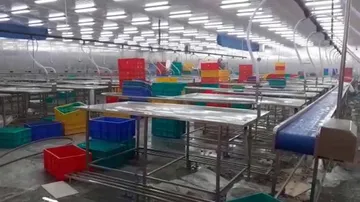 Factory Mishap: 7 Officials Of Falcon Marine Exports Arrested