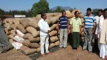 Odisha farmers left in lurch amid paddy procurement 'irregularities'