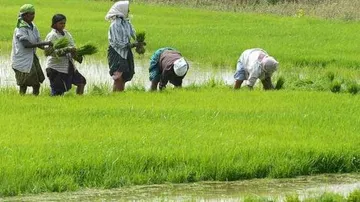 Odisha allocates additional Rs 3,234 crore for Kalia scheme
