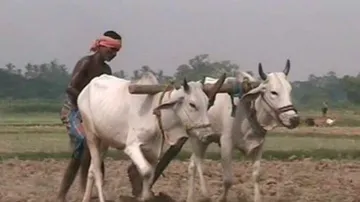 Op-Ed: Naveen Government's Response to Farmers' Issues Inadequate