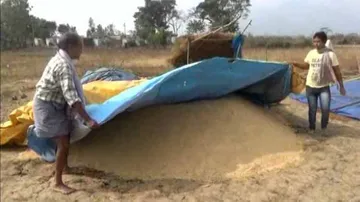 Farmers worried as meteorological dept issues rain alert
