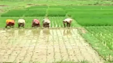 Odisha Comes Up With Draft Legislation To Provide Land On Lease To Sharecroppers