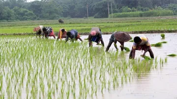 Op-Ed: Why Farmer Uprising is here to stay?