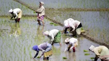 Farmers have to pay Rs 100 per month under pension scheme