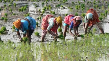 Baijayant Panda seeks to extend crop insurance deadline
