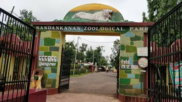 Bhubaneswar: Two Tiger Cubs Taken Unwell In Nandankanan