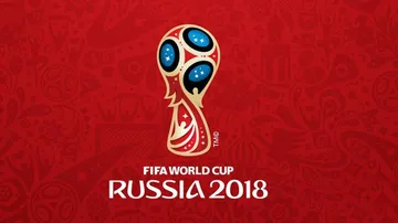 Video assistant referees for 2018 FIFA World Cup