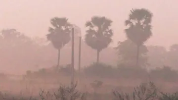 In Pics: Winter Scenes As Fog Envelopes Several Parts Of Odisha