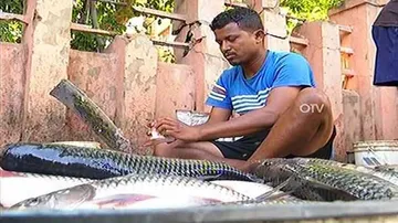 Football to footpath - Odisha footballer now a fish seller on streets